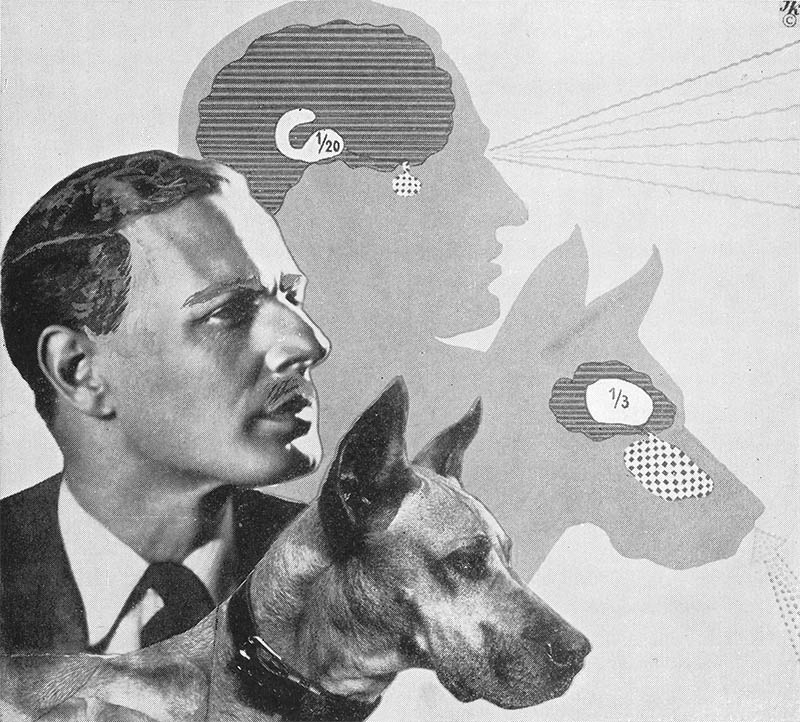 Illustration for article titled Fritz Kahn's Whimsical Infographics Turn People Into Contraptions